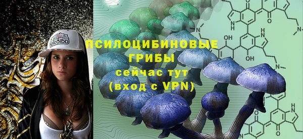 ALPHA PVP Няндома