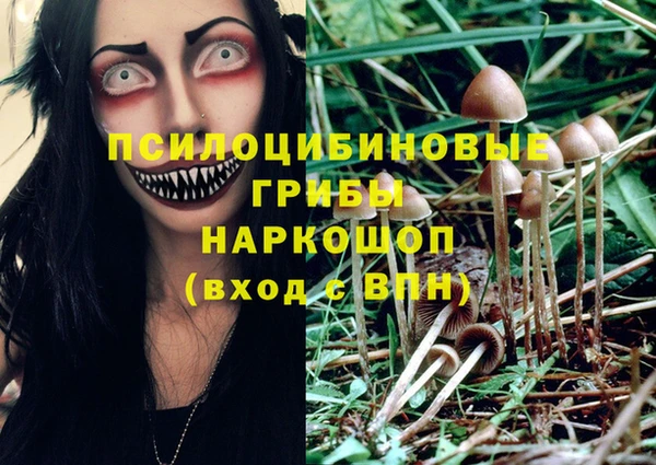 ALPHA PVP Няндома