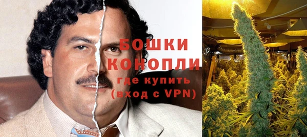 ALPHA PVP Няндома