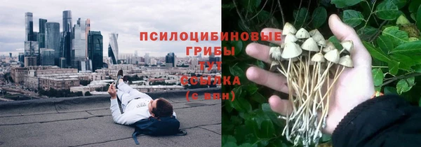 ALPHA PVP Няндома