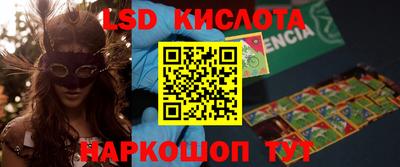 стафф Берёзовский