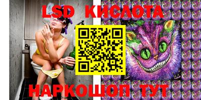 стафф Берёзовский