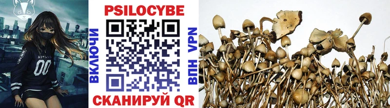 Псилоцибиновые грибы Psilocybe  что такое   Искитим 