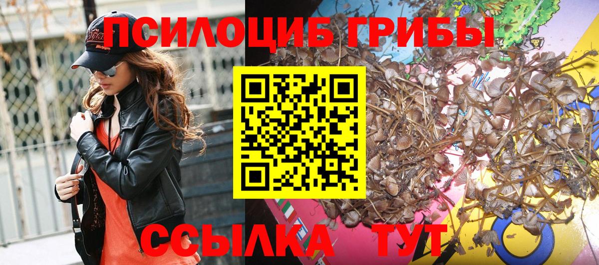 Псилоцибиновые грибы прущие грибы  Галлюциногенные грибы Cubensis  Вход с VPN  Искитим 