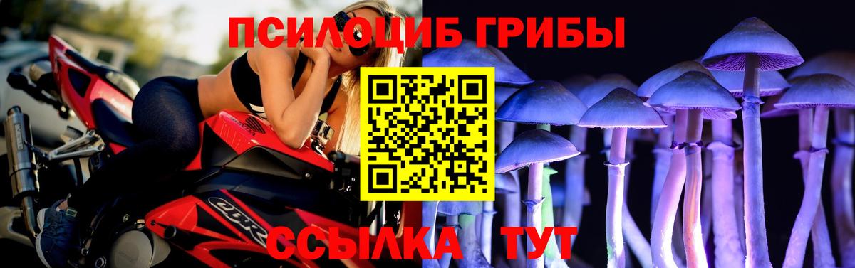 Псилоцибиновые грибы прущие грибы Искитим
